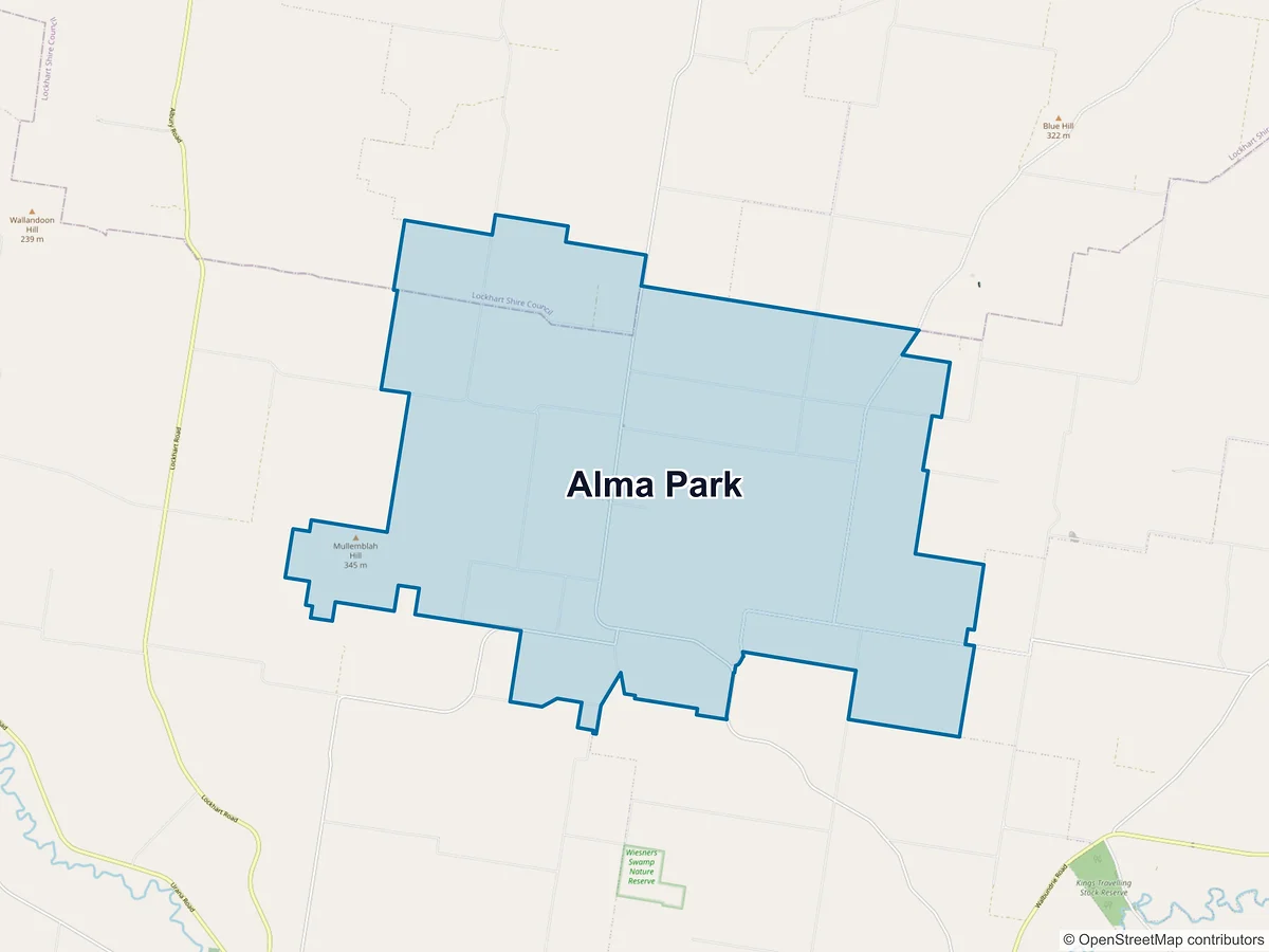 Map of Alma Park, NSW, Australia