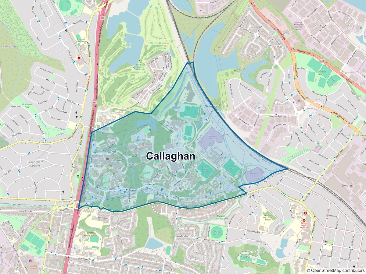 Map of Callaghan, NSW, Australia