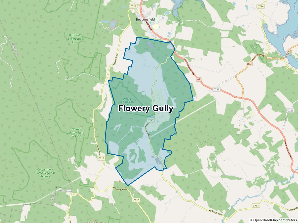Map of Flowery Gully, TAS, Australia