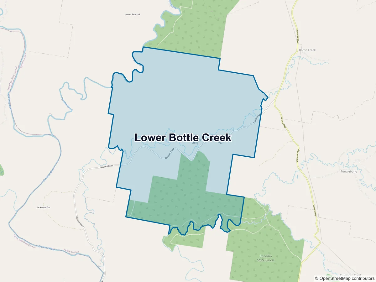 Map of Lower Bottle Creek, NSW, Australia