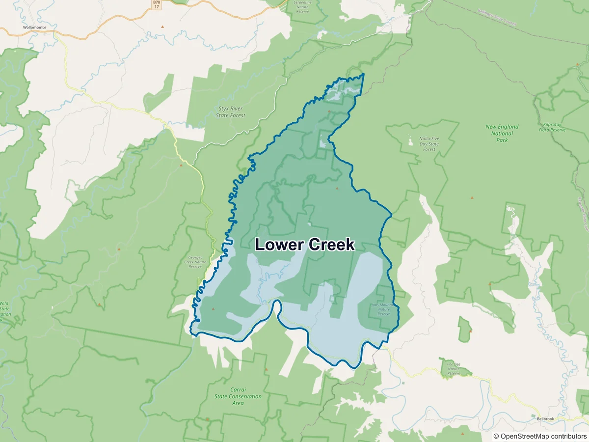 Map of Lower Creek, NSW, Australia