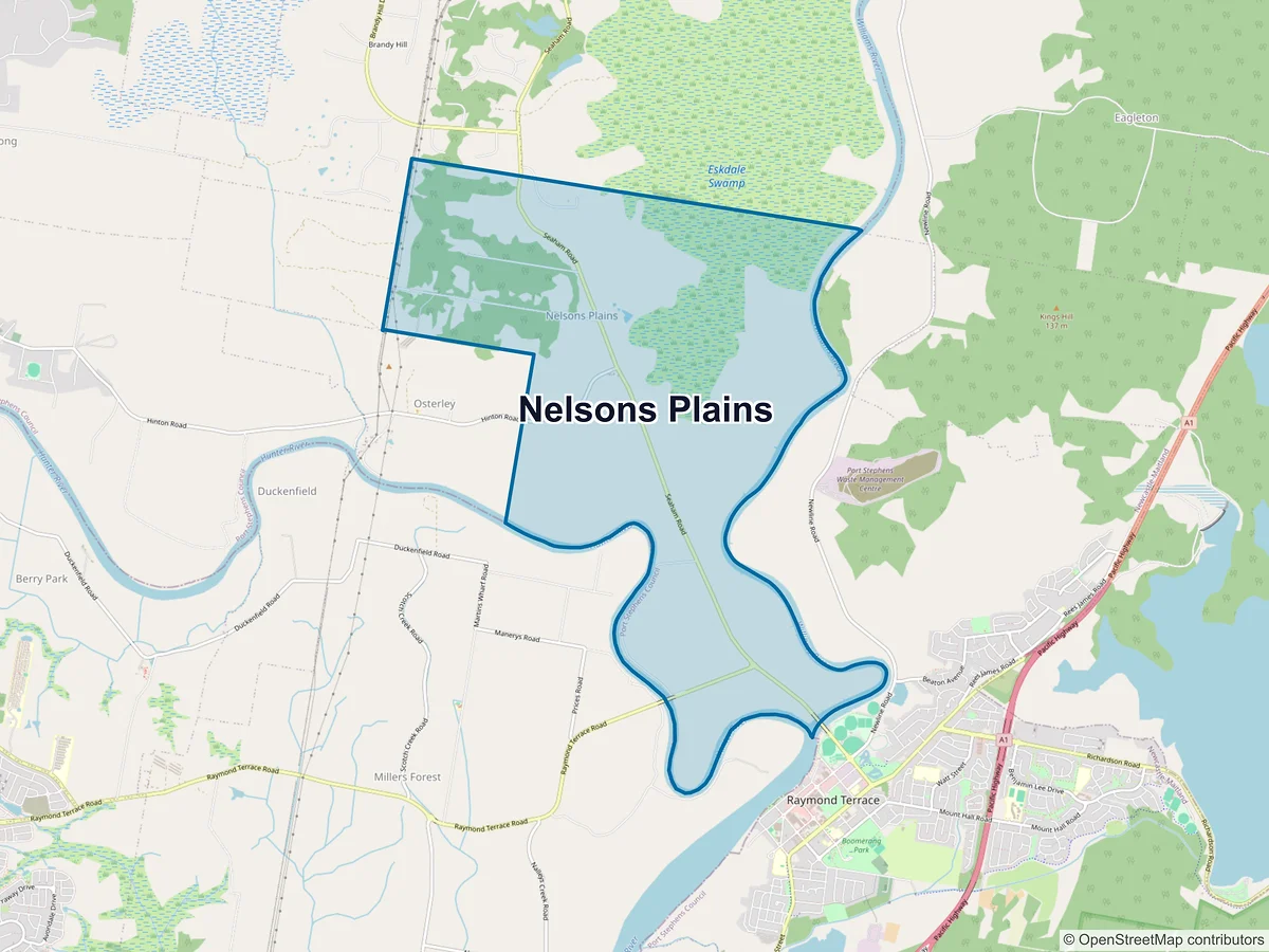 Map of Nelsons Plains, NSW, Australia