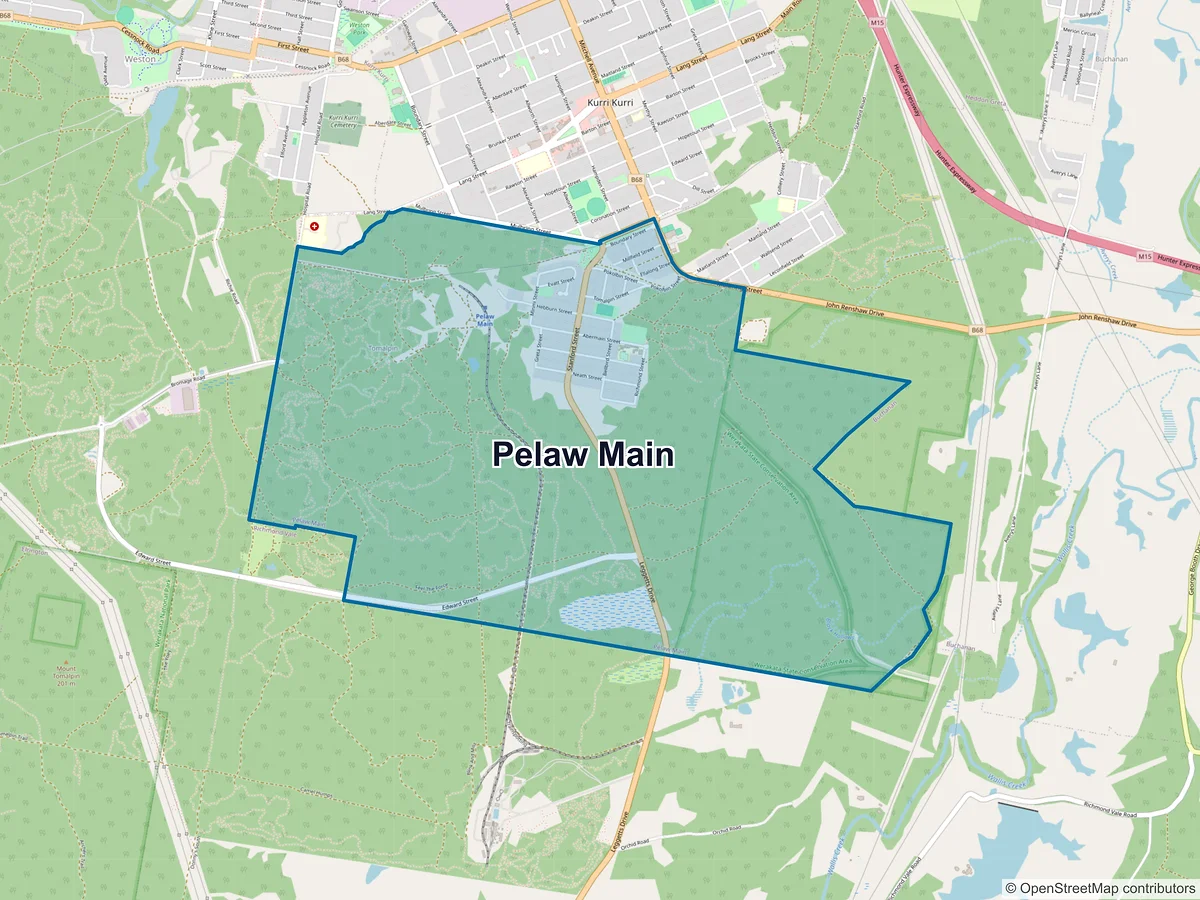 Map of Pelaw Main, NSW, Australia