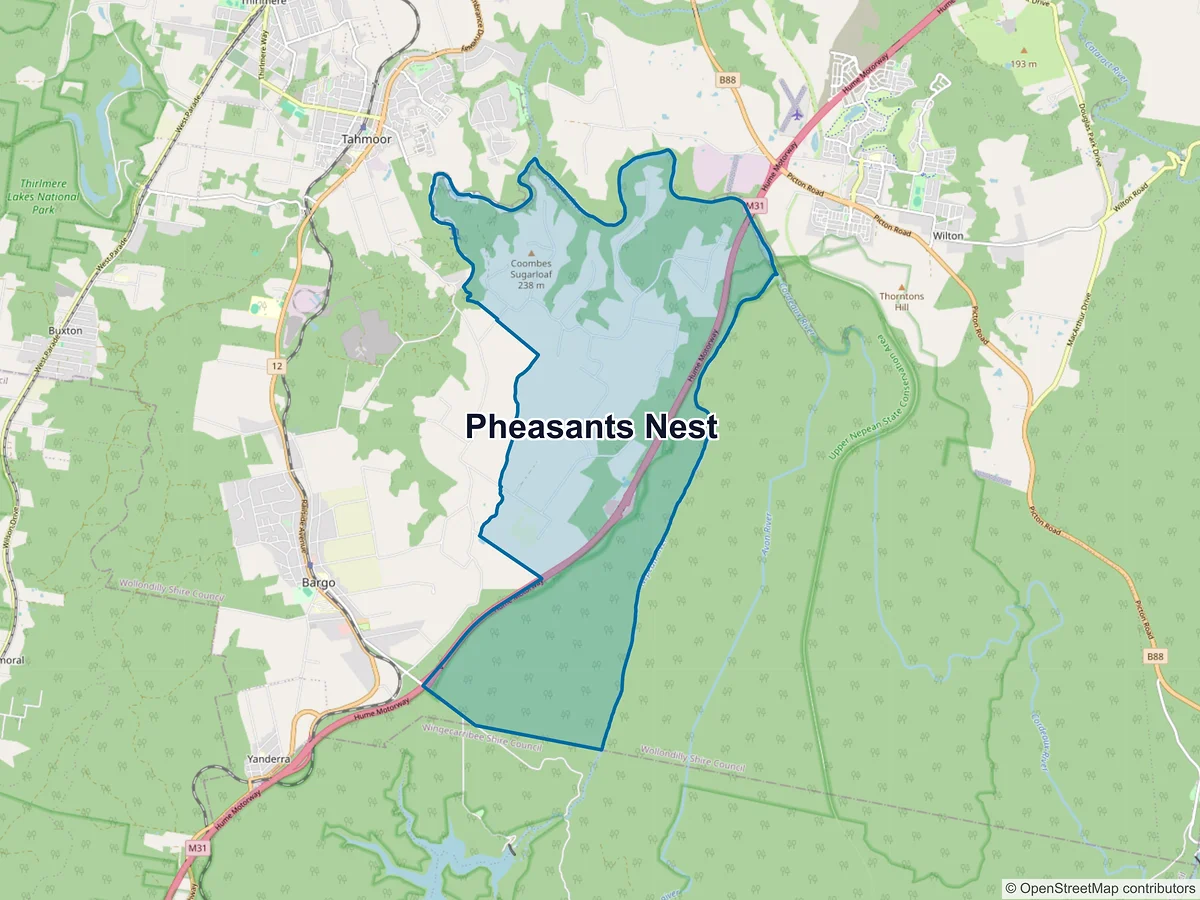 Map of Pheasants Nest, NSW, Australia