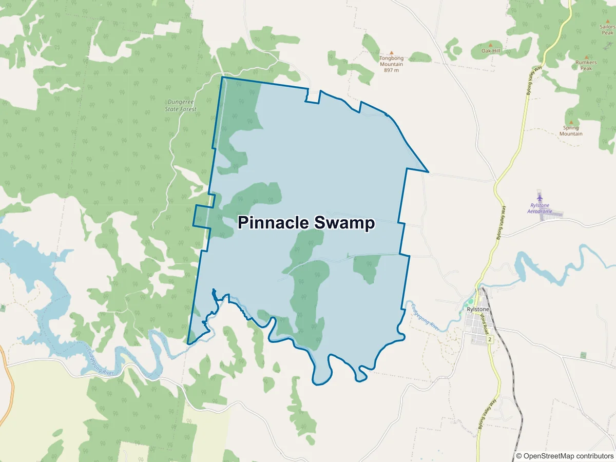 Map of Pinnacle Swamp, NSW, Australia