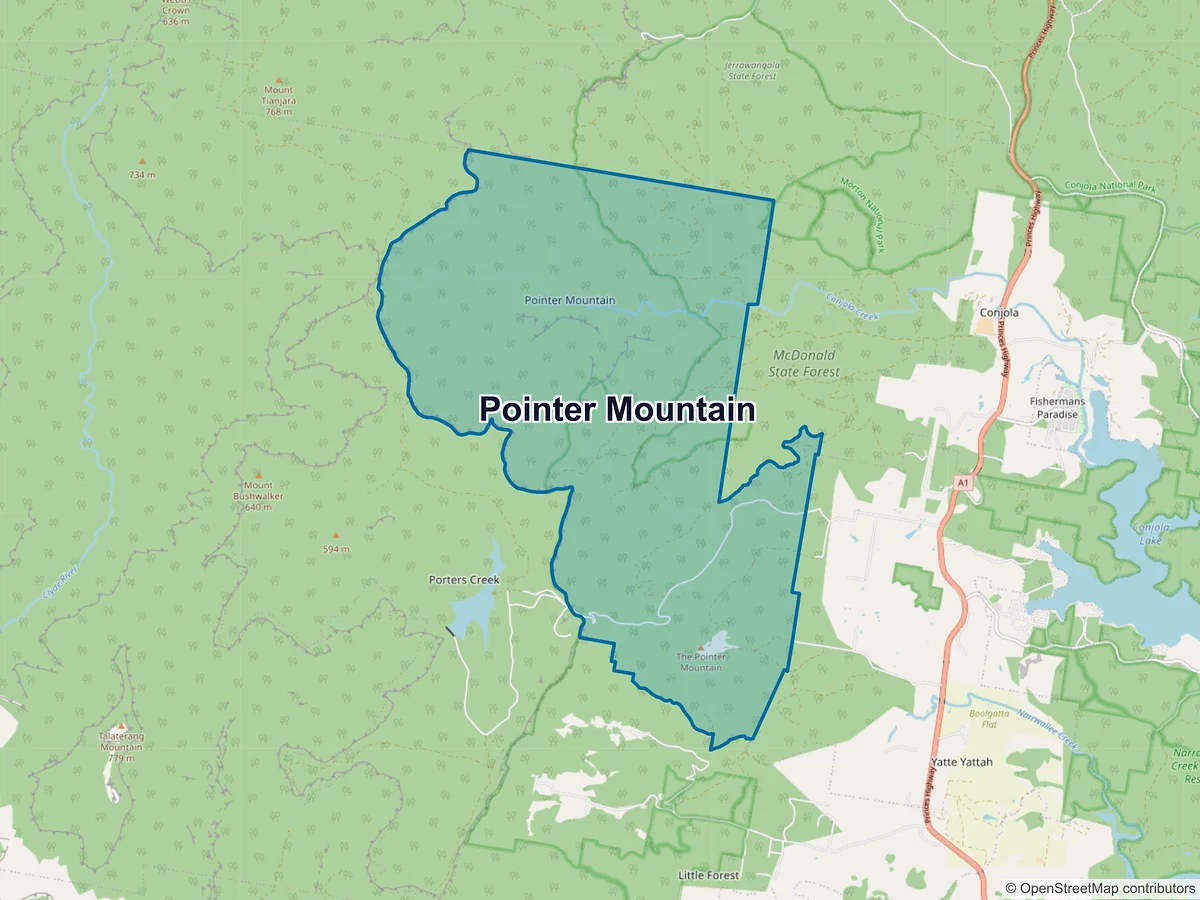 Map of Pointer Mountain, NSW, Australia