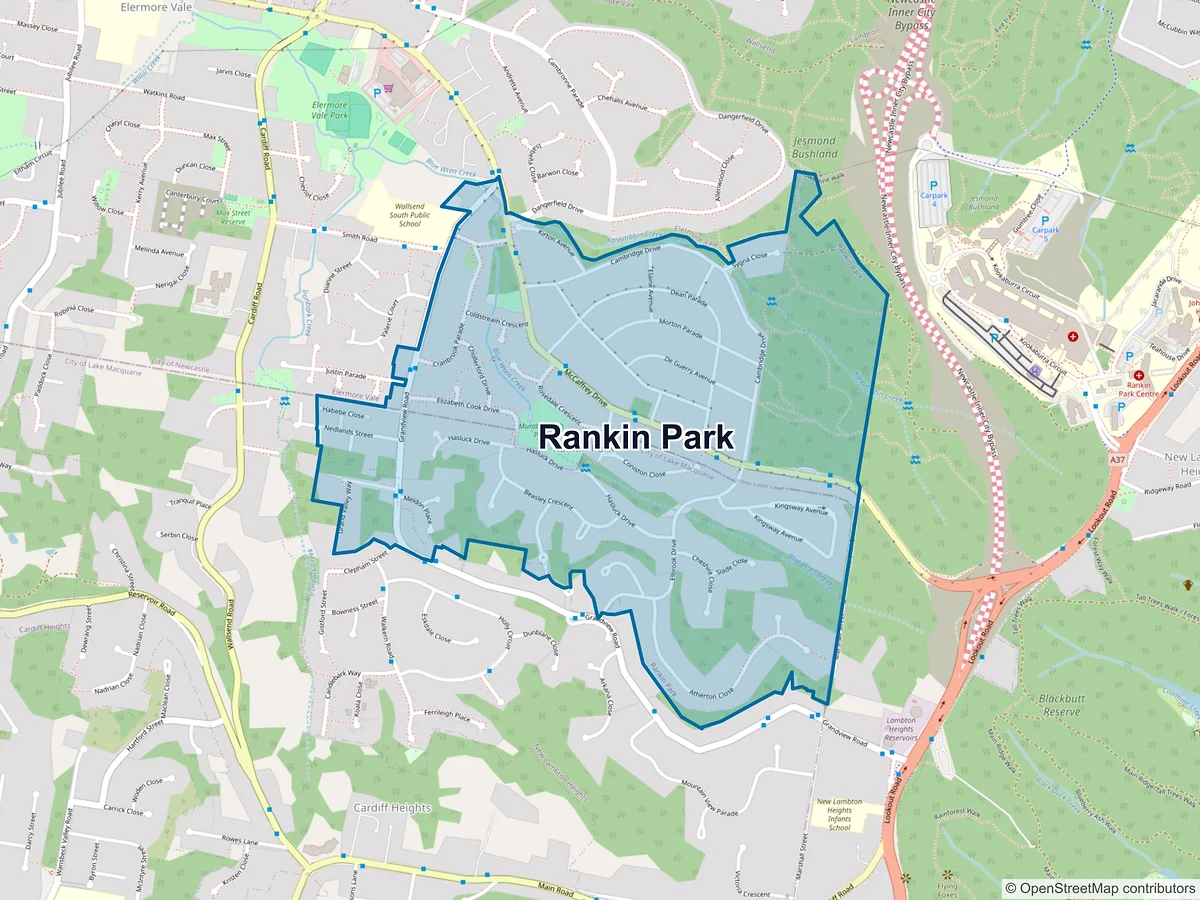 Map of Rankin Park, NSW, Australia