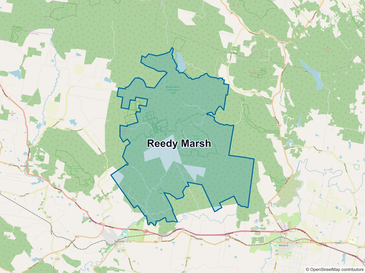 Map of Reedy Marsh, TAS, Australia