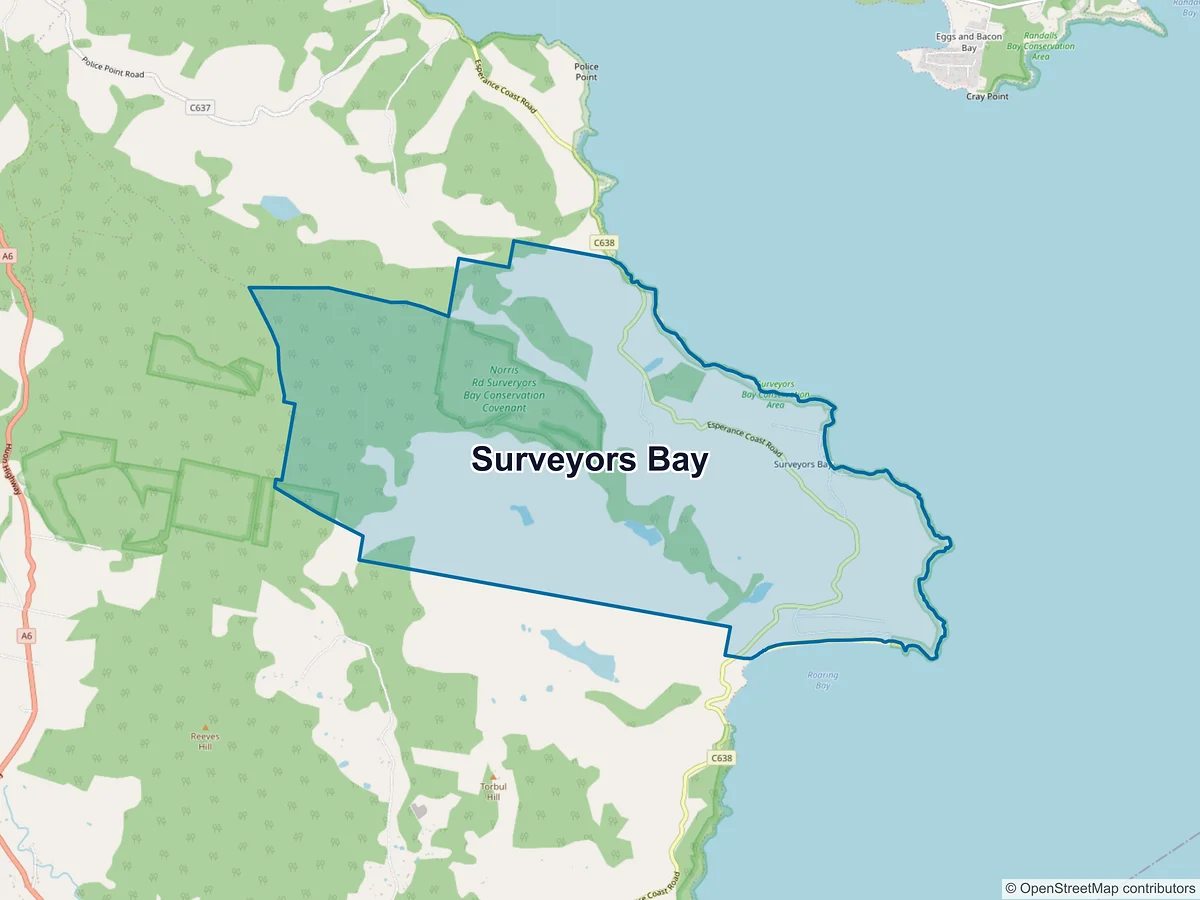 Map of Surveyors Bay, TAS, Australia