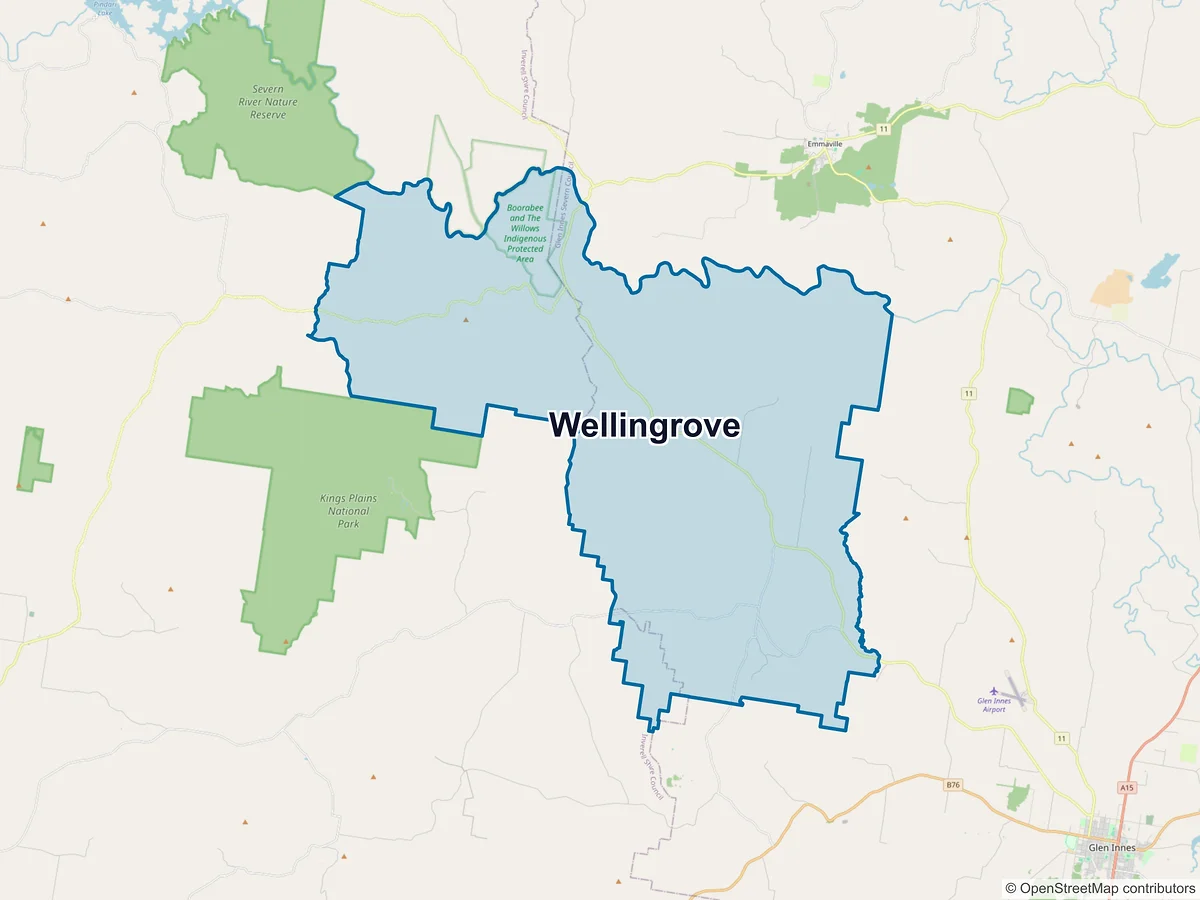Map of Wellingrove, NSW, Australia