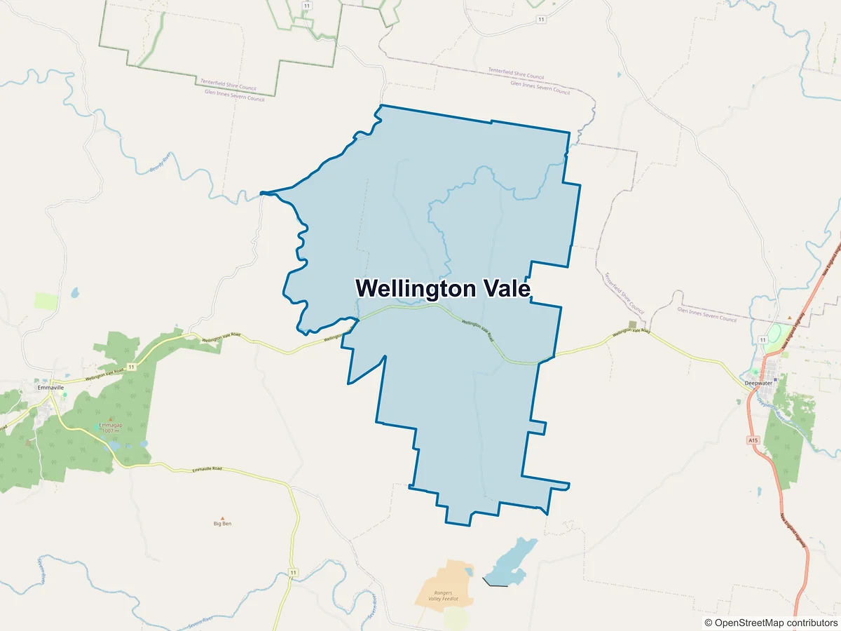Map of Wellington Vale, NSW, Australia