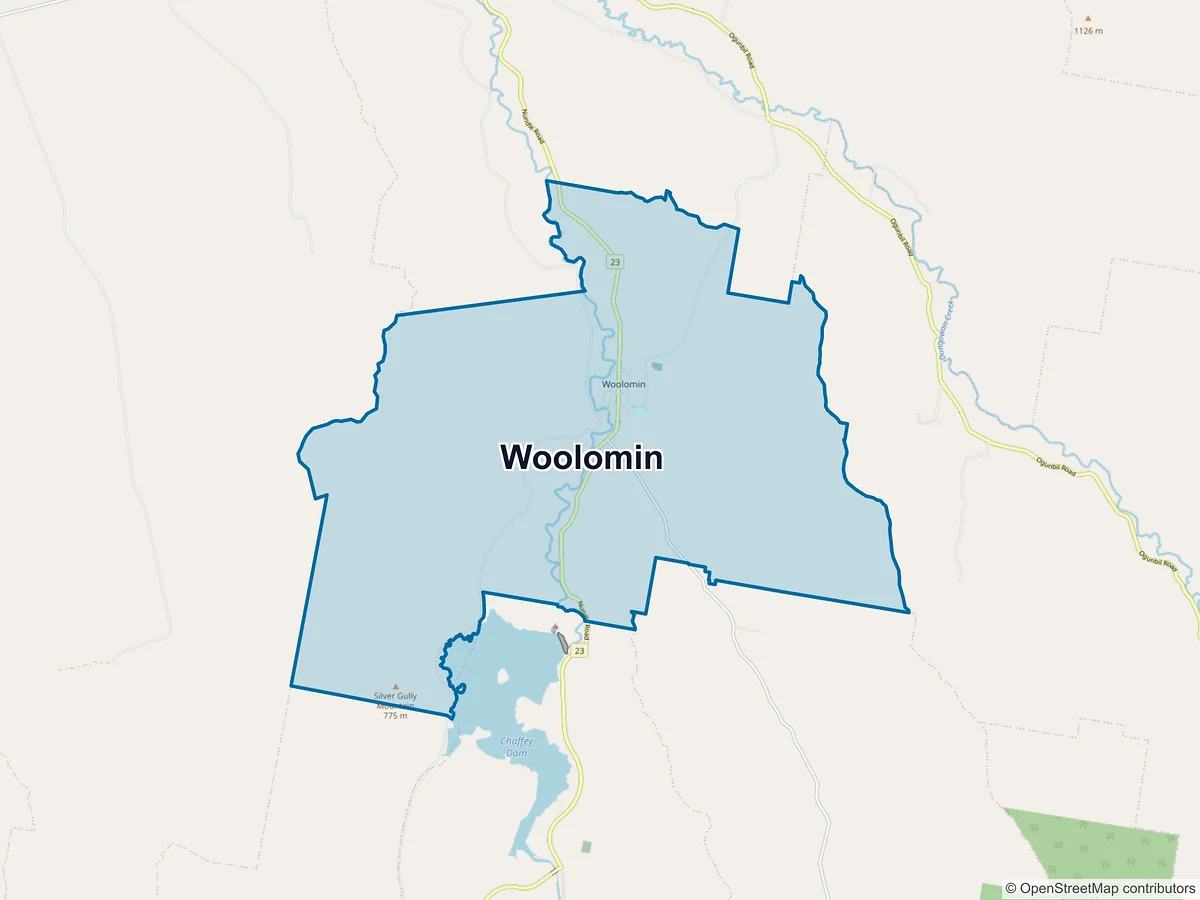 Map of Woolomin, NSW, Australia