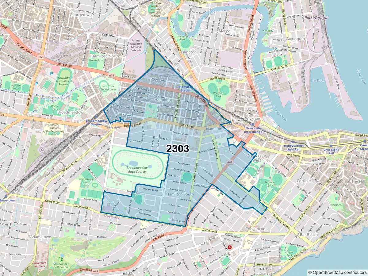 Map of postcode 2303 — Hamilton South, NSW, Australia