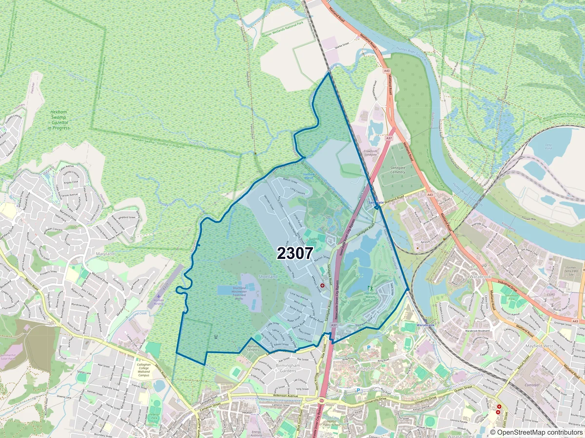 Map of postcode 2307 — Shortland, NSW, Australia